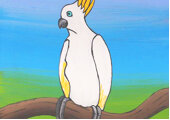 Yuendumu Birds